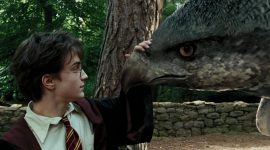 Top 10: Criaturas MÃ¡gicas del Mundo de ‘Harry Potter’